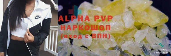 PSILOCYBIN Белокуриха