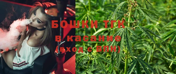 PSILOCYBIN Белокуриха