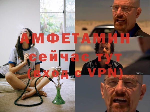 PSILOCYBIN Белокуриха